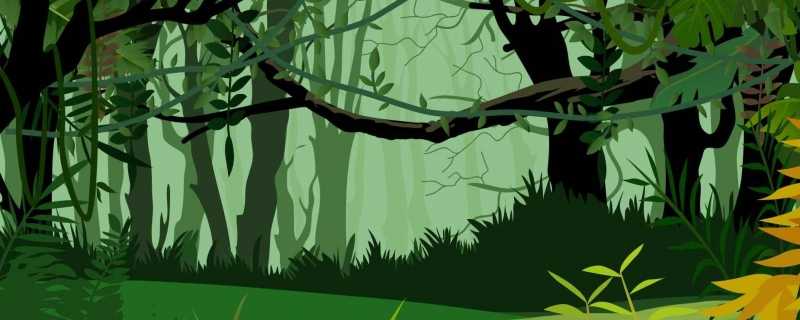 亿德体育官网app下载森林环境保护的内容及对策 如何保护森林环境